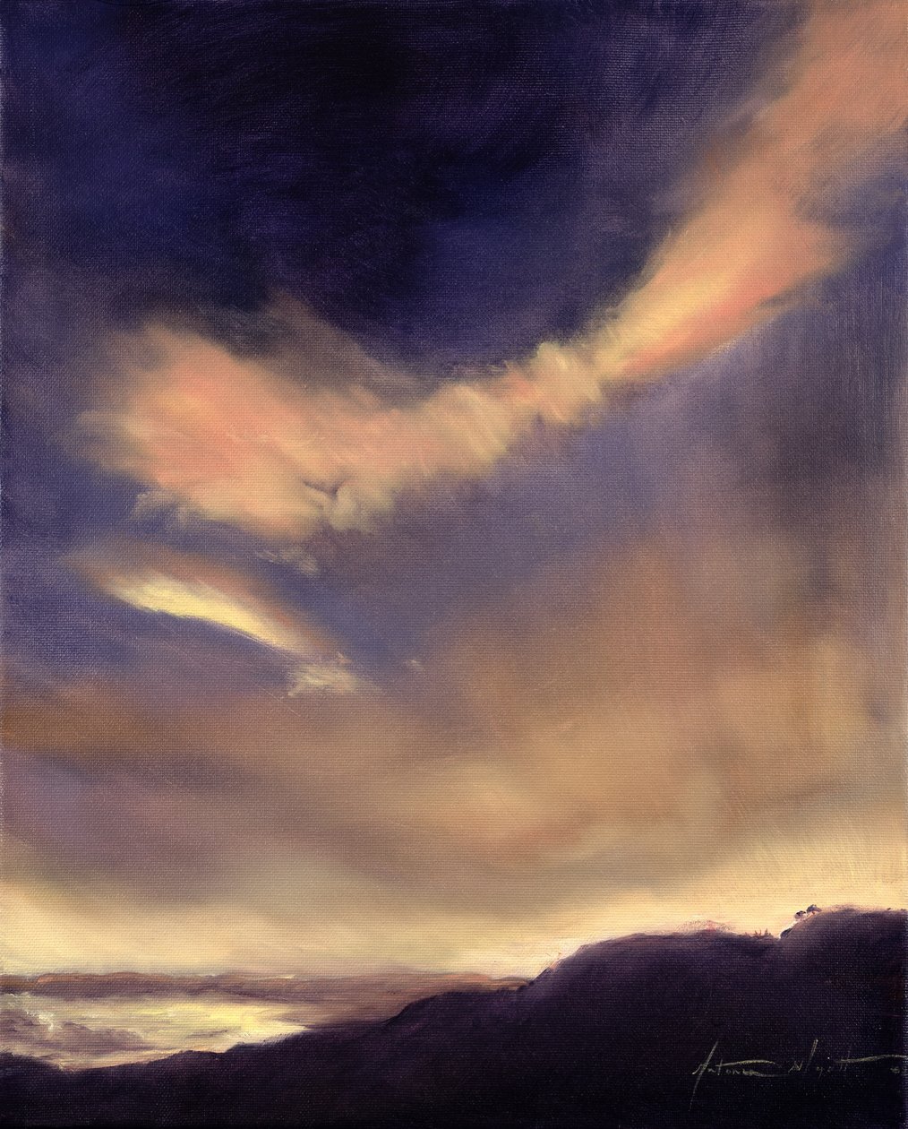 Nuvens Borboleta, 2002 de Antonia Myatt