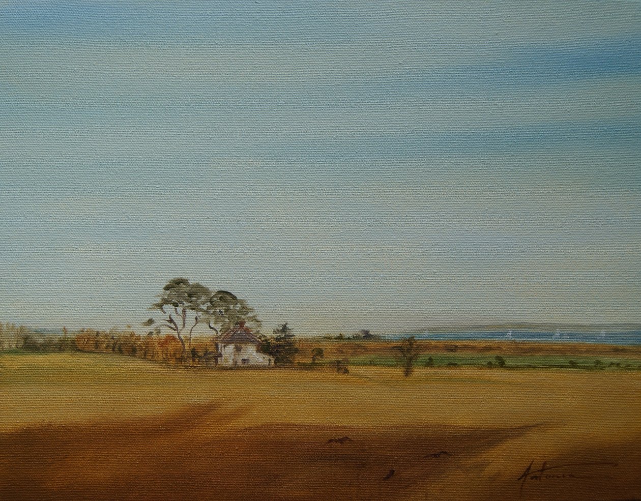 Casa e Campos, 2016 de Antonia Myatt