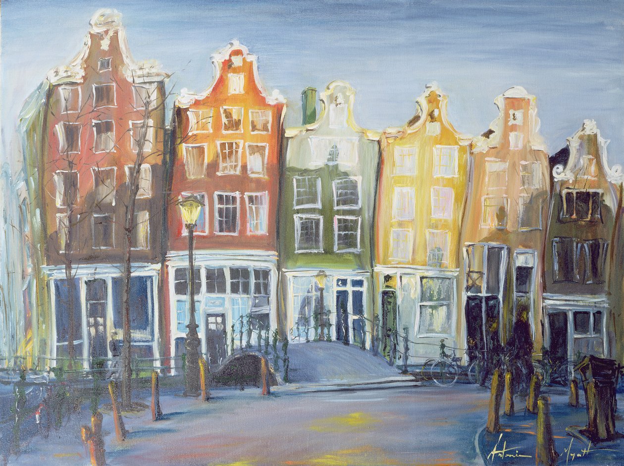 Casas de Amsterdã, 1999 de Antonia Myatt