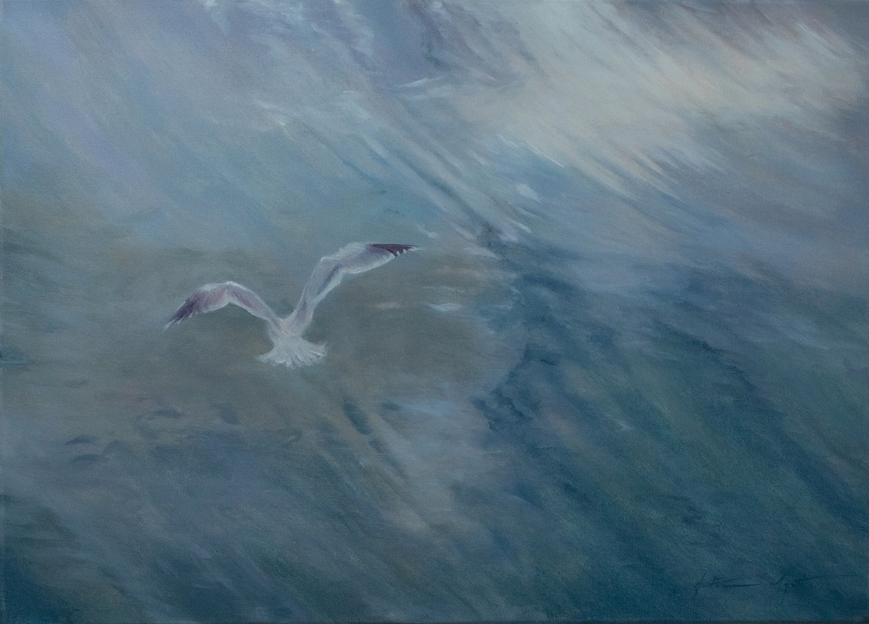 Gaivota a voar, 2012 (óleo sobre tela) de Antonia Myatt