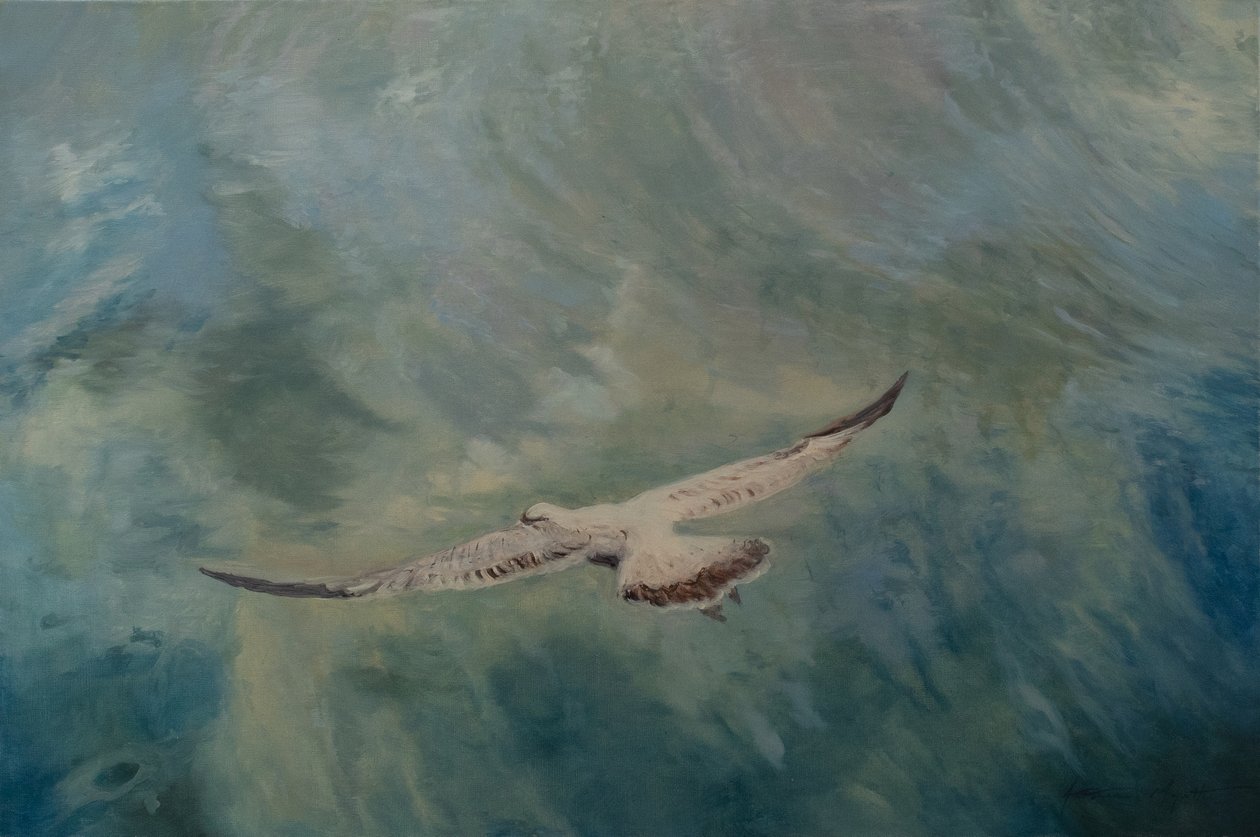 Gaivota de asas estendidas, 2012 (óleo sobre tela) de Antonia Myatt