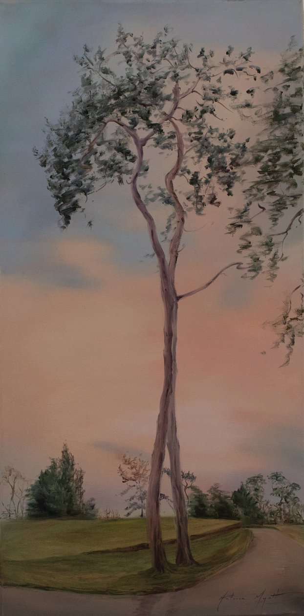 Árvores de Tapeley Park, 2013 (óleo sobre tela) de Antonia Myatt