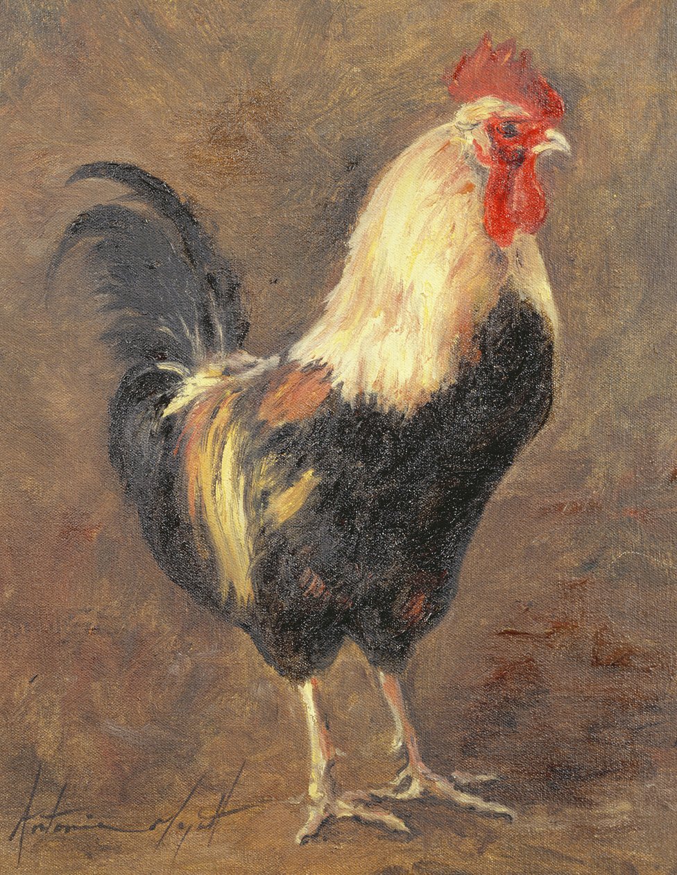 O galo, 1999 de Antonia Myatt