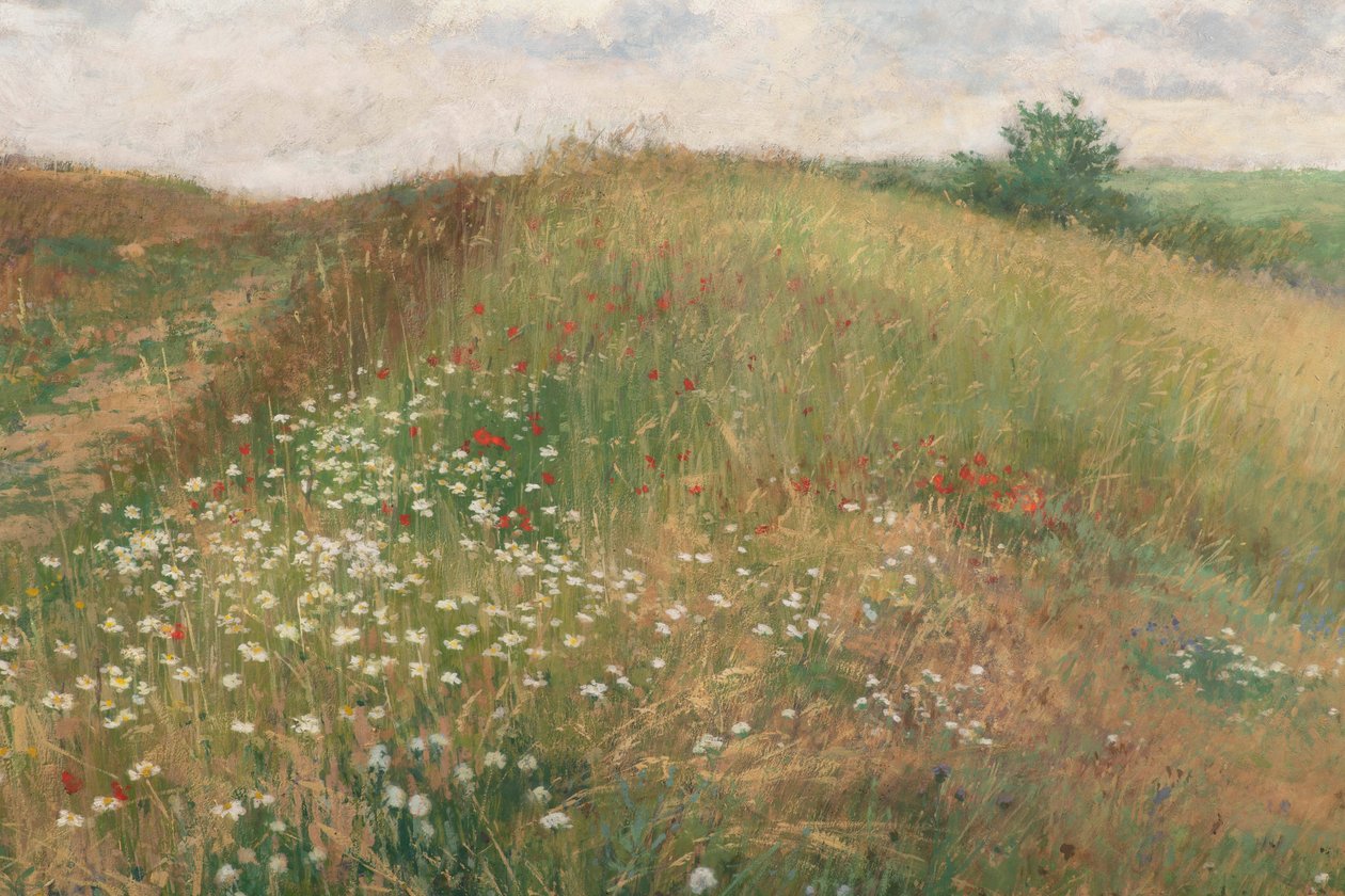Verão, 1897. de Antonin Slavicek