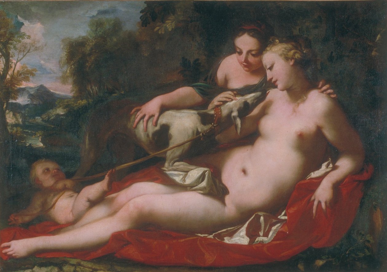 Imagem desconhecida de Antonio Bellucci