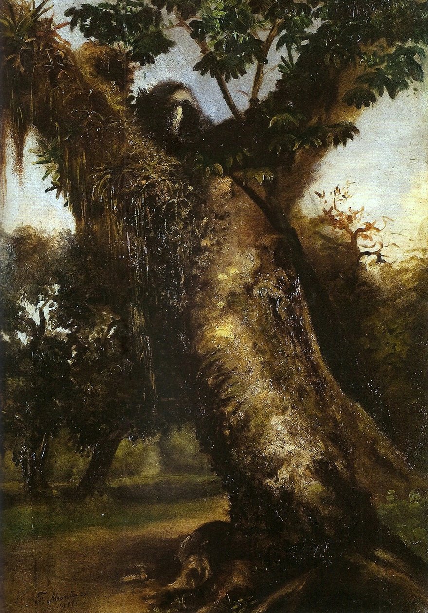 Panorama de Antonio Firmino Monteiro