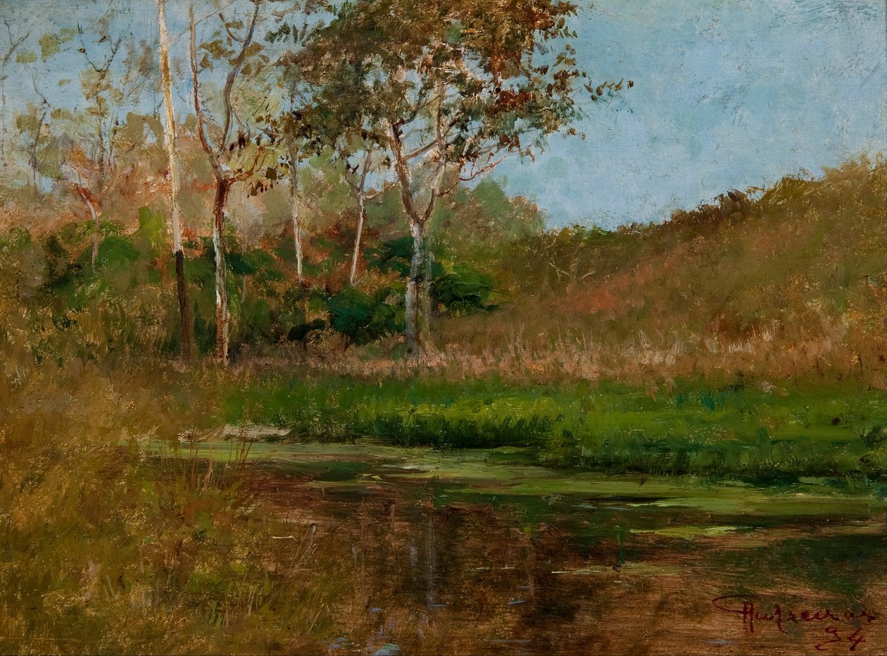 Água parada de Antonio Parreiras