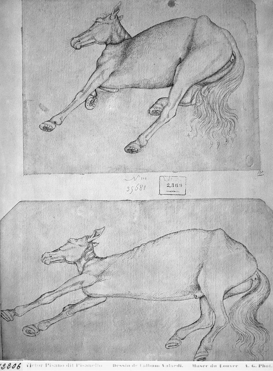 Cavalos mortos, do The Vallardi Album de Antonio Pisanello