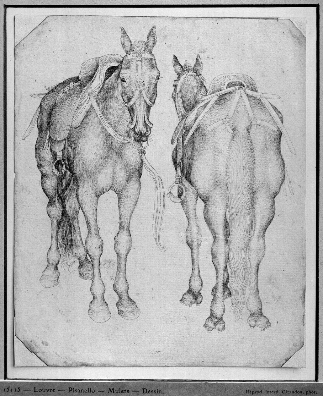 Dois cavalos, do The Vallardi Album de Antonio Pisanello