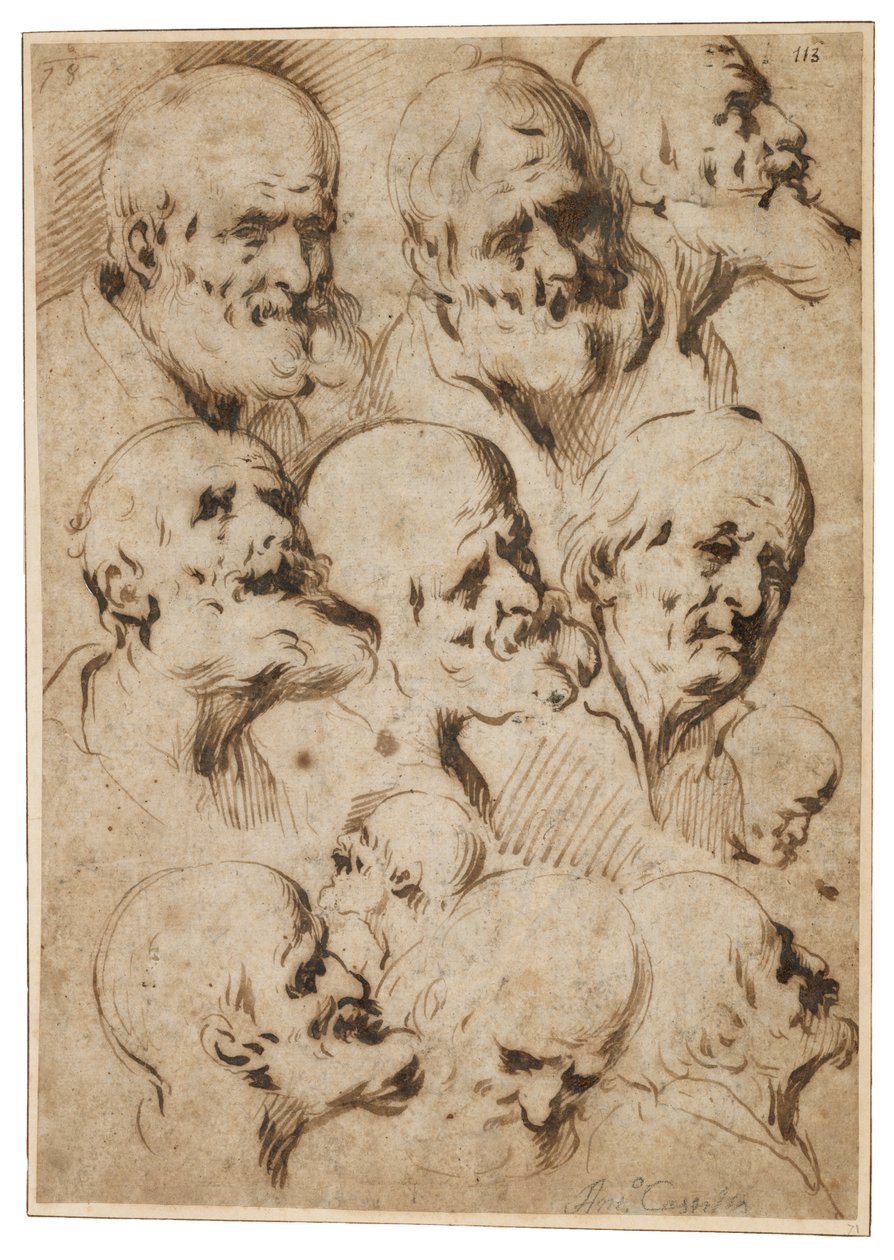 Estudo de cabeças de apóstolos, c.1650 (caneta cana e tinta marrom sobre papel) de Antonio del Castillo y Saavedra