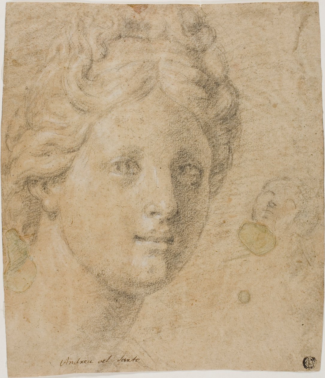 Cabeça de uma mulher de Antonio Balestra