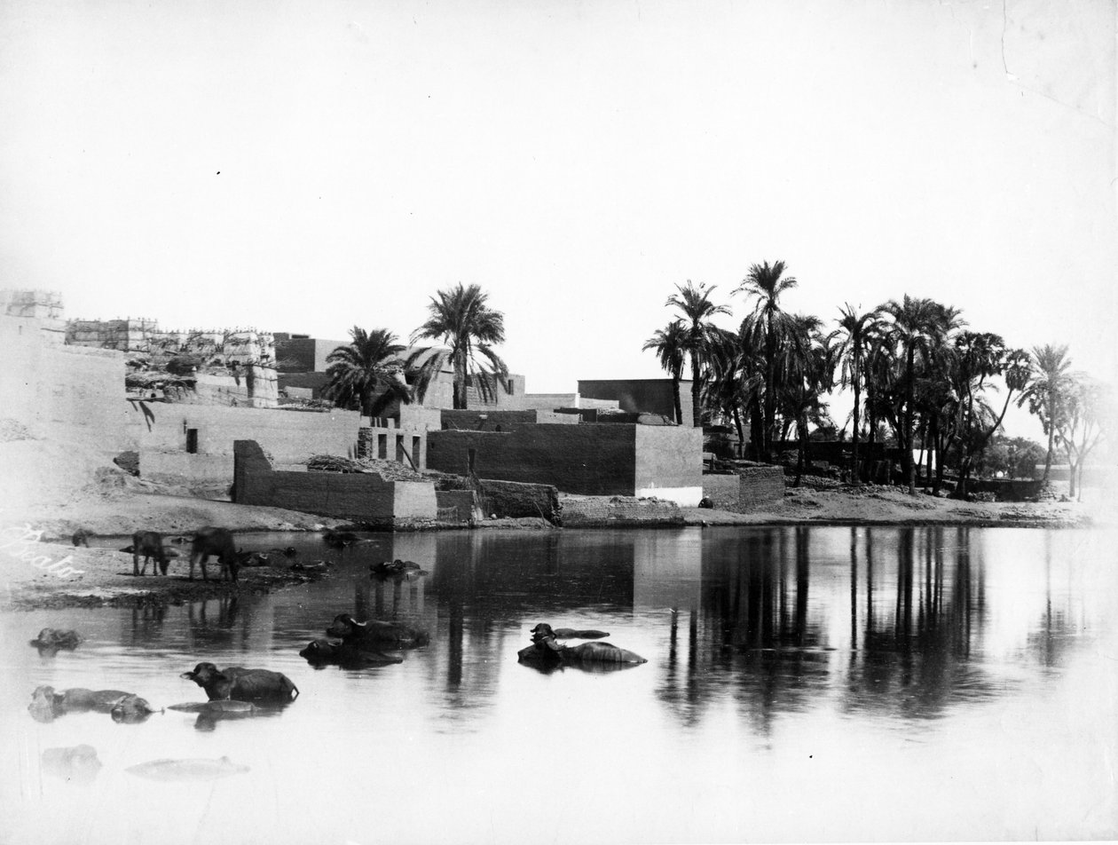 Luxor visto de um barco do Nilo, c.1860-80 de Antonio Beato