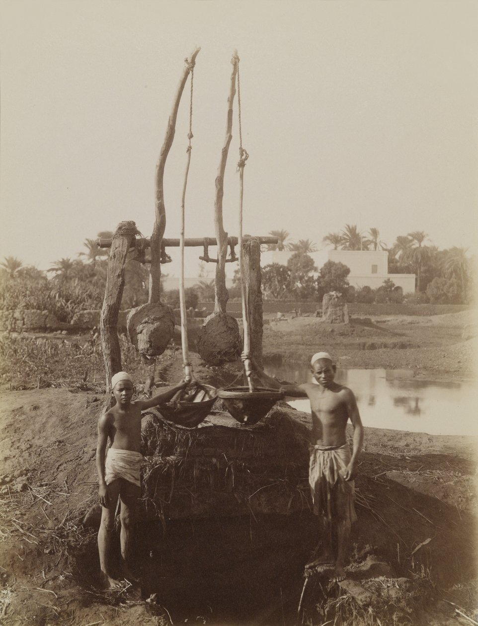 Sehadouf, Luxor de Antonio Beato