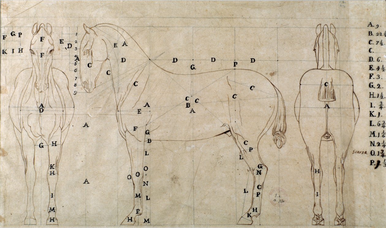 Estudo para um cavalo para um monumento equestre (desenho de Antonio Canova