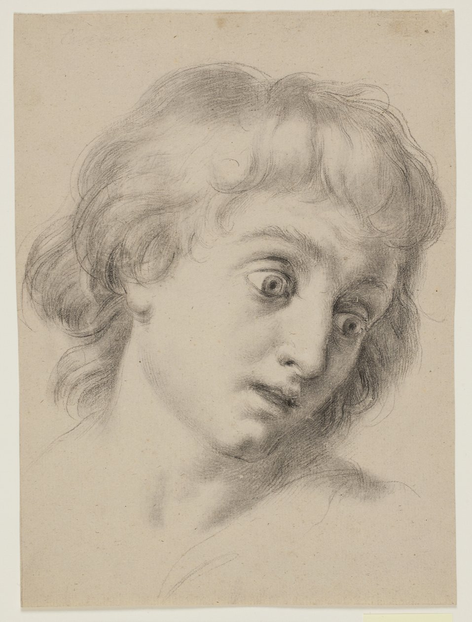 Cabeça de um menino de Antonio Cavallucci