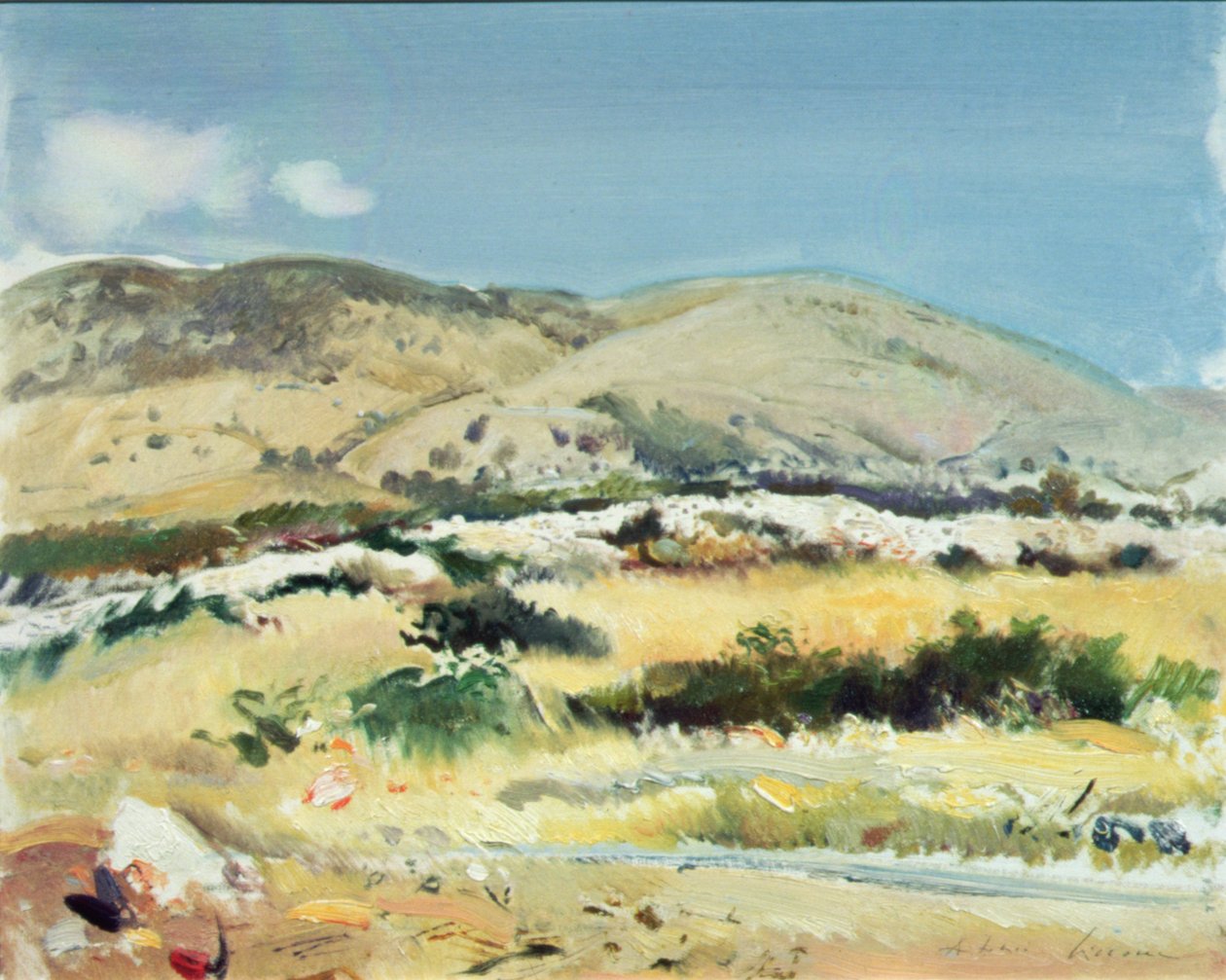 Gargano, 1981 de Antonio Ciccone