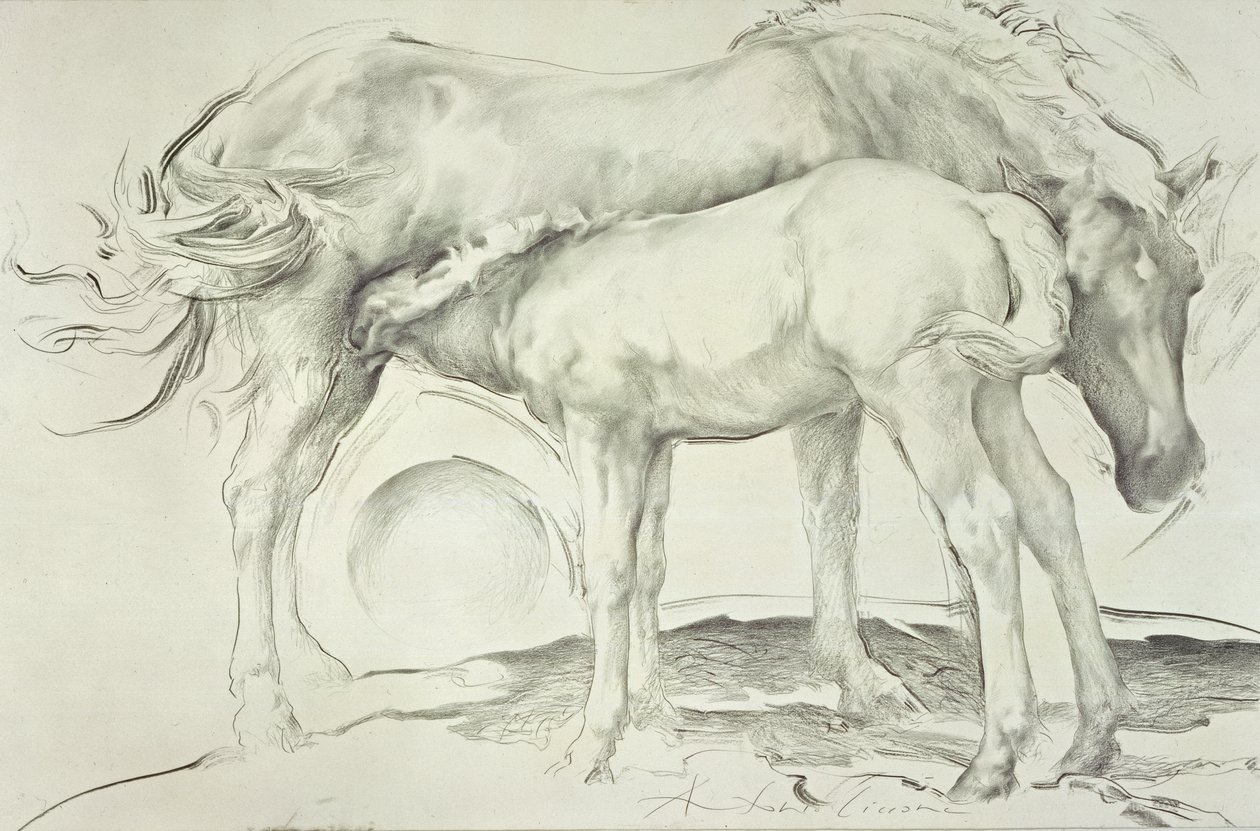 Cavalos em Coolmore, 1990 (carvão sobre papel) de Antonio Ciccone