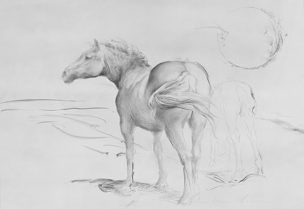 Cavalos em Coolmore, 1990 (carvão sobre papel) de Antonio Ciccone
