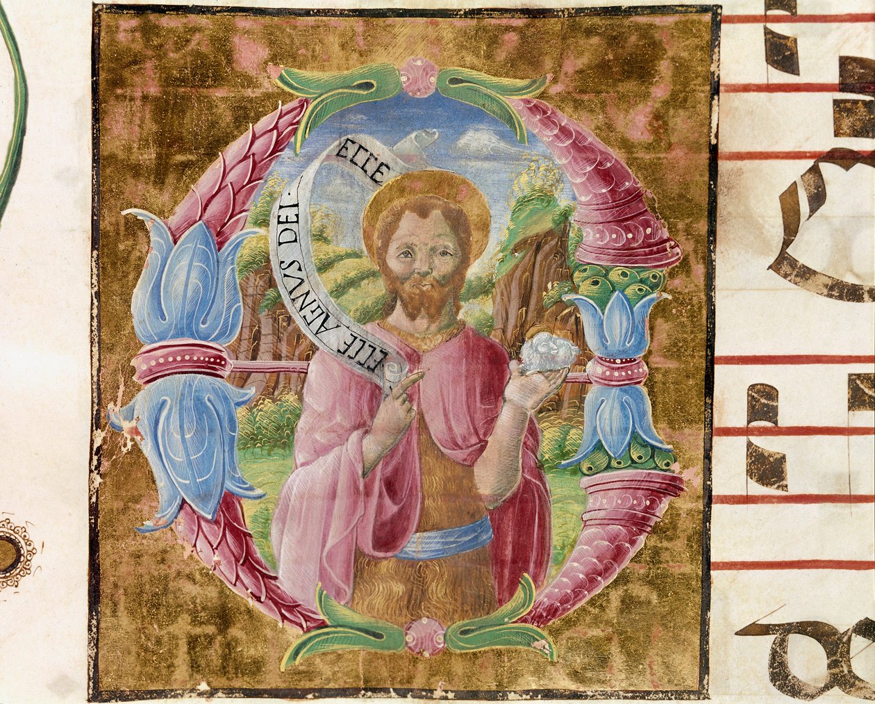 São João Batista Lettrina, iluminado por Antonio Cicognari. Detalhe de um anti-fonário. 1483. Cremone, coral 4, capitolo del duomo de Antonio Cicognara