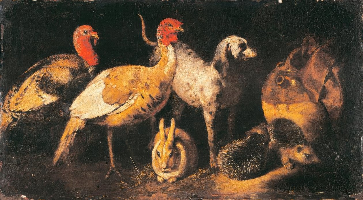 Perus, cães, lebres e ouriços de Antonio Maria Vassallo