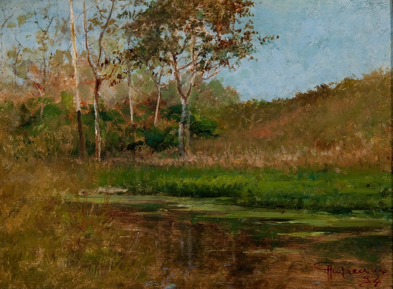 Água parada de Antonio Parreiras
