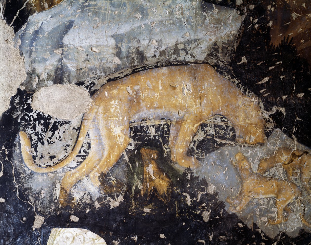 Cão, detalhe (fresco) de Antonio Pisanello