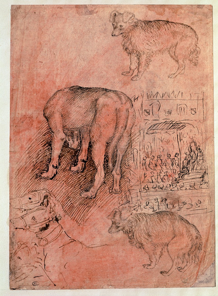 Estudos caninos. Episódio aulico. Desenho de Antonio Pisano dit il Pisanello (1380-1455) de Antonio Pisanello