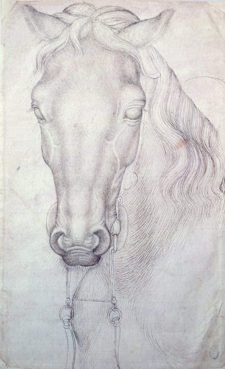 Cabeça de cavalo de Antonio Pisanello