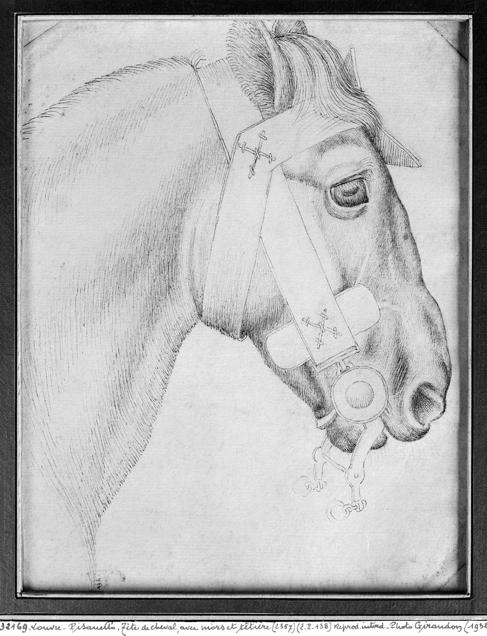 Cabeça de cavalo, do The Vallardi Album (caneta e tinta no papel) (foto bw) de Antonio Pisanello