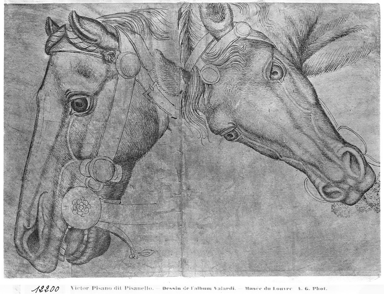 Cabeças de cavalos, do The Vallardi Album de Antonio Pisanello