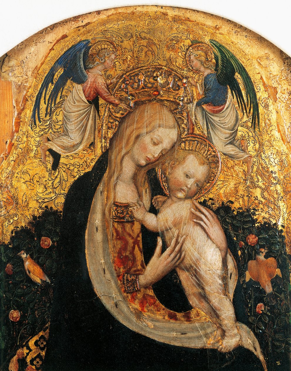 Madonna of codail de Antonio Pisanello (1395-1455), detalhe de Antonio Pisanello