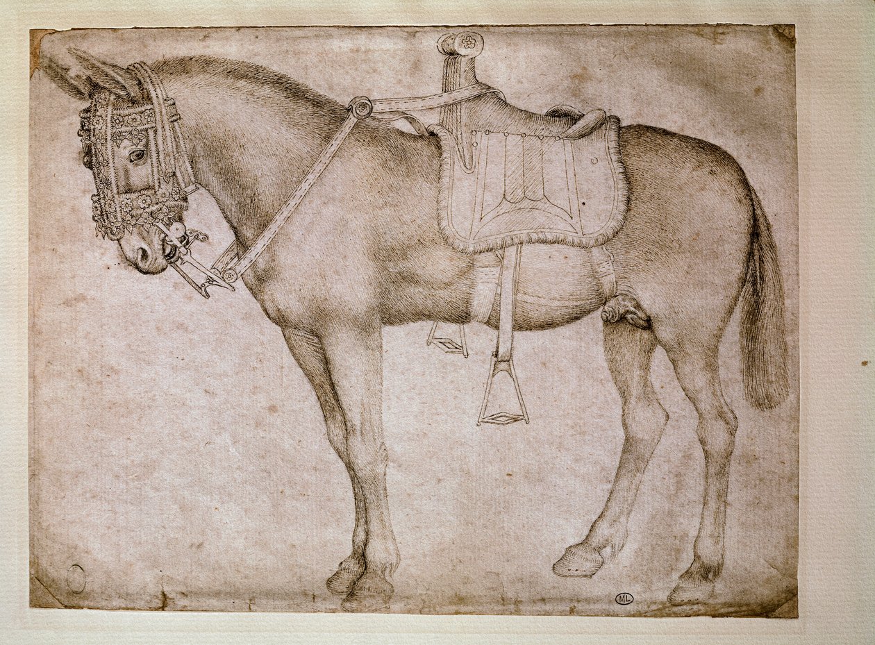 Arnês de mula. Desenho de Antonio Pisano dit il Pisanello (1380-1455) de Antonio Pisanello