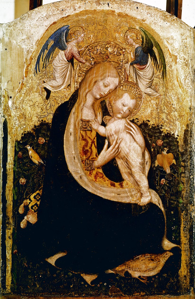 A Madonna tem Detrempe de codornizes em madeira de Pisanello (Antonio Pisano) (ca. 1380-1455). 1420 aprox. Dim. 50x33 cm Verone, Museo di Castevecchio - Madonna with a Quail, de Antonio Pisano a.k.a Pisanello (1380-c.1455), Tempera on wood, 50x33 cm de Antonio Pisanello