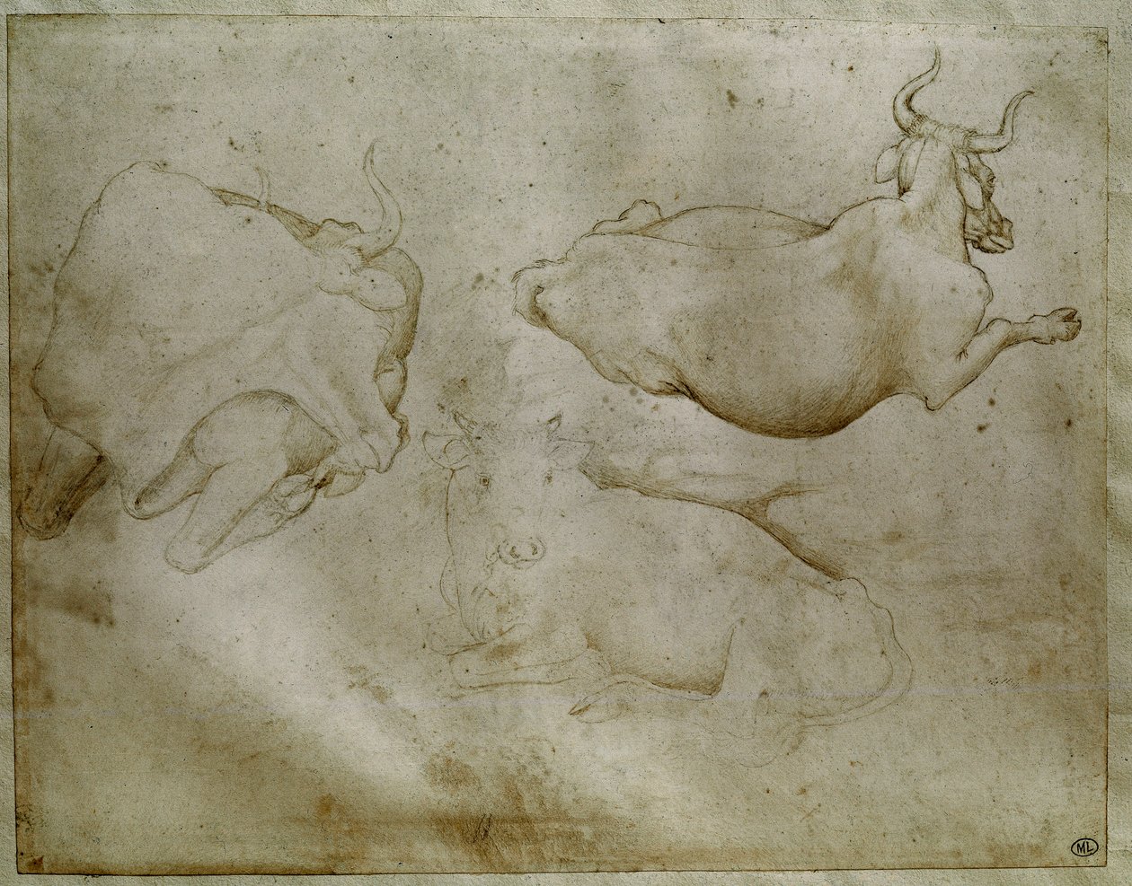 Duas vacas e um zimbro. Desenho de Antonio di Puccio Pisano dit Pisanello (1395-1455). Pergaminho, ponta de metal. Altura: 17,6 cm. Louvre, Cabinet des medailles de Antonio Pisanello