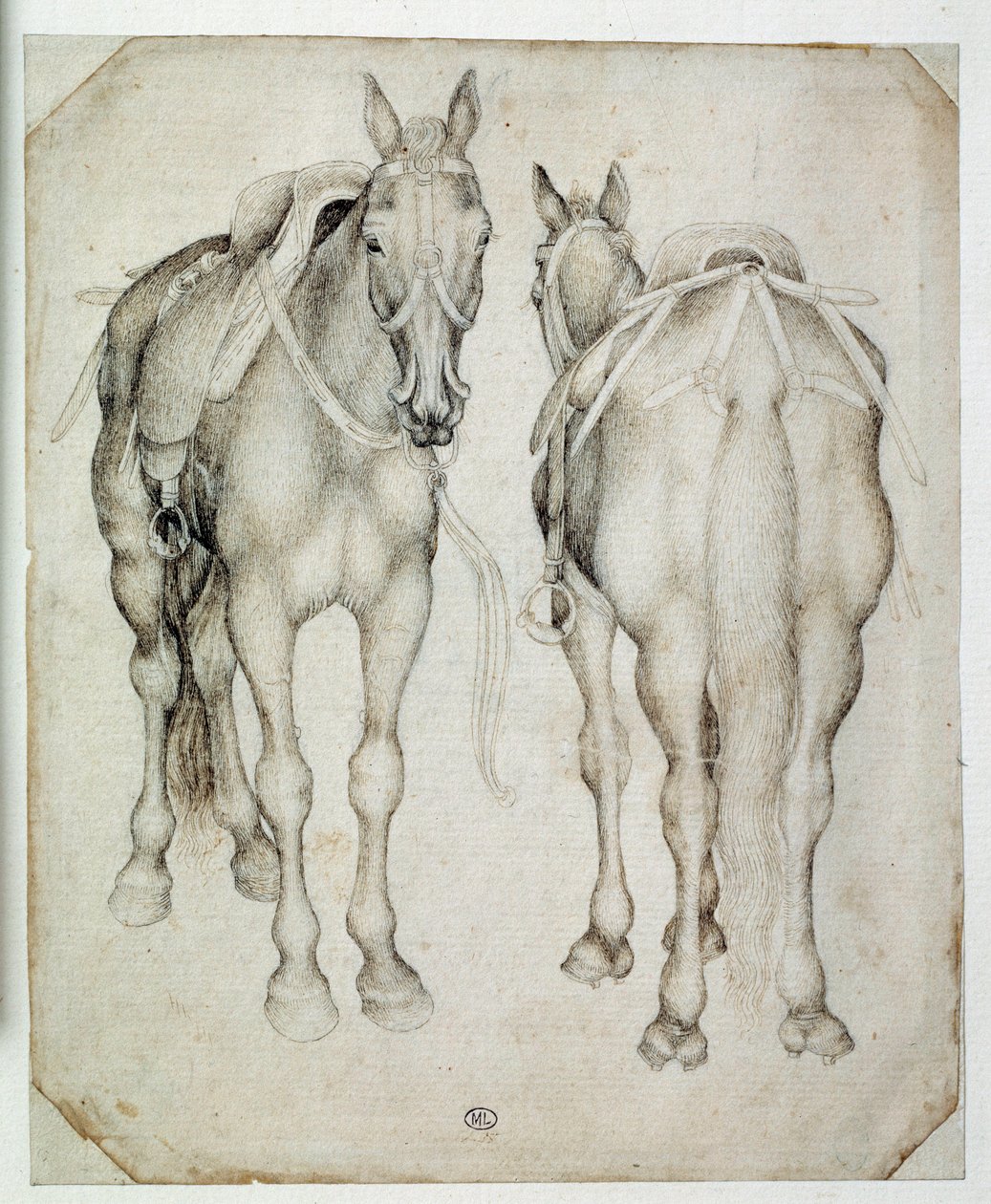 Dois arreios, vistos três quartos, um da frente e o outro de trás. Desenho de Pisano Antonio di Puccio dit Pisanello (1395-1455) de Antonio Pisanello