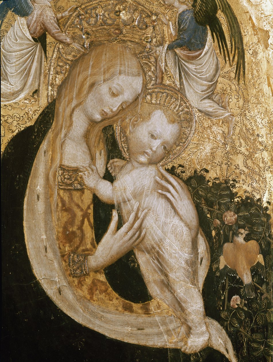 Virgem com codorniz (Detrempe em madeira, c.1420) de Antonio Pisanello
