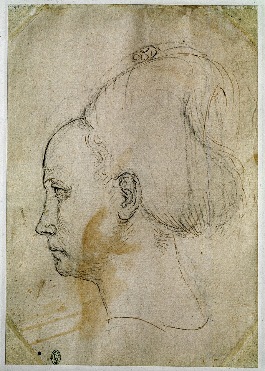 Cabeça de jovem mulher, perfil à esquerda de Antonio Pisanello