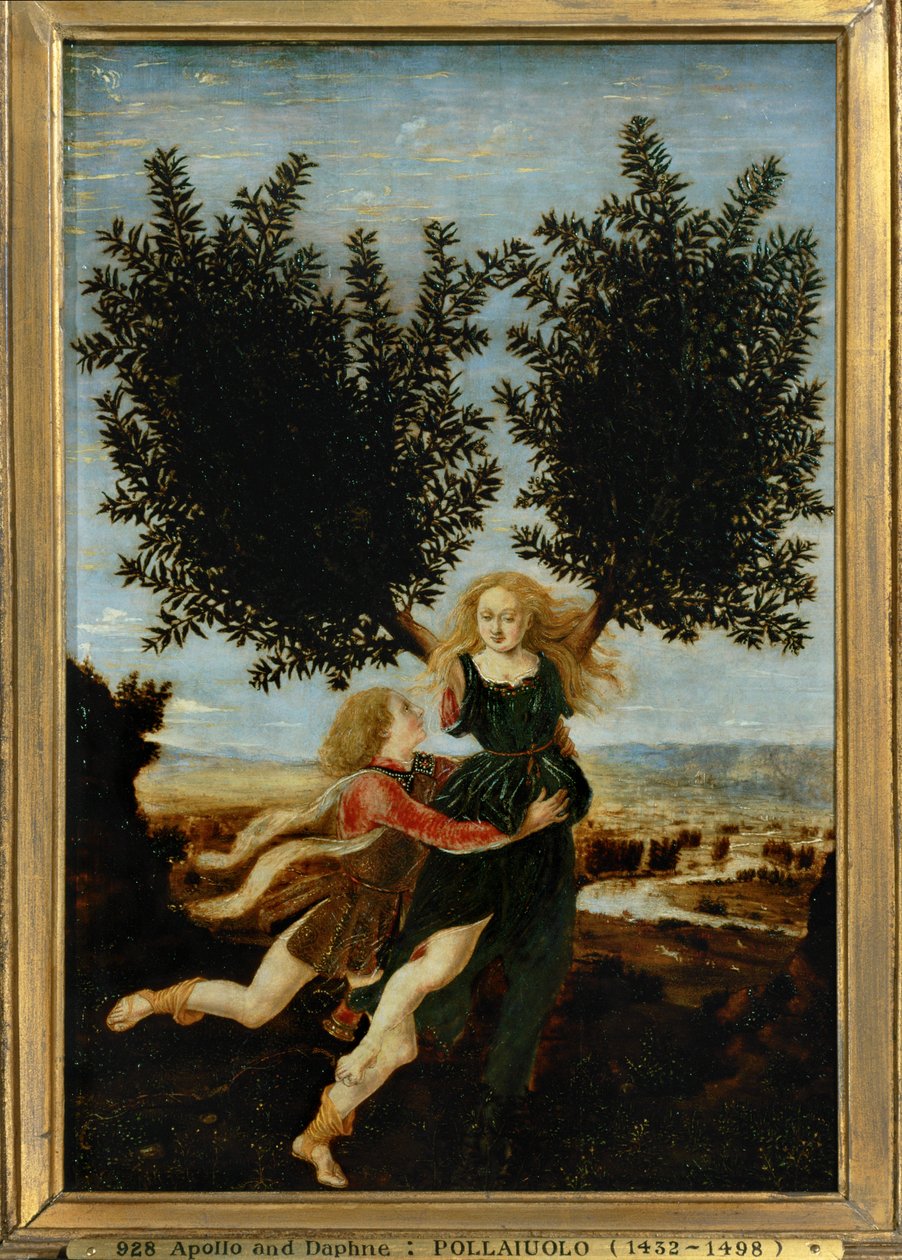 Apolo e Daphne ... (pintura sobre tela) de Antonio Pollaiuolo