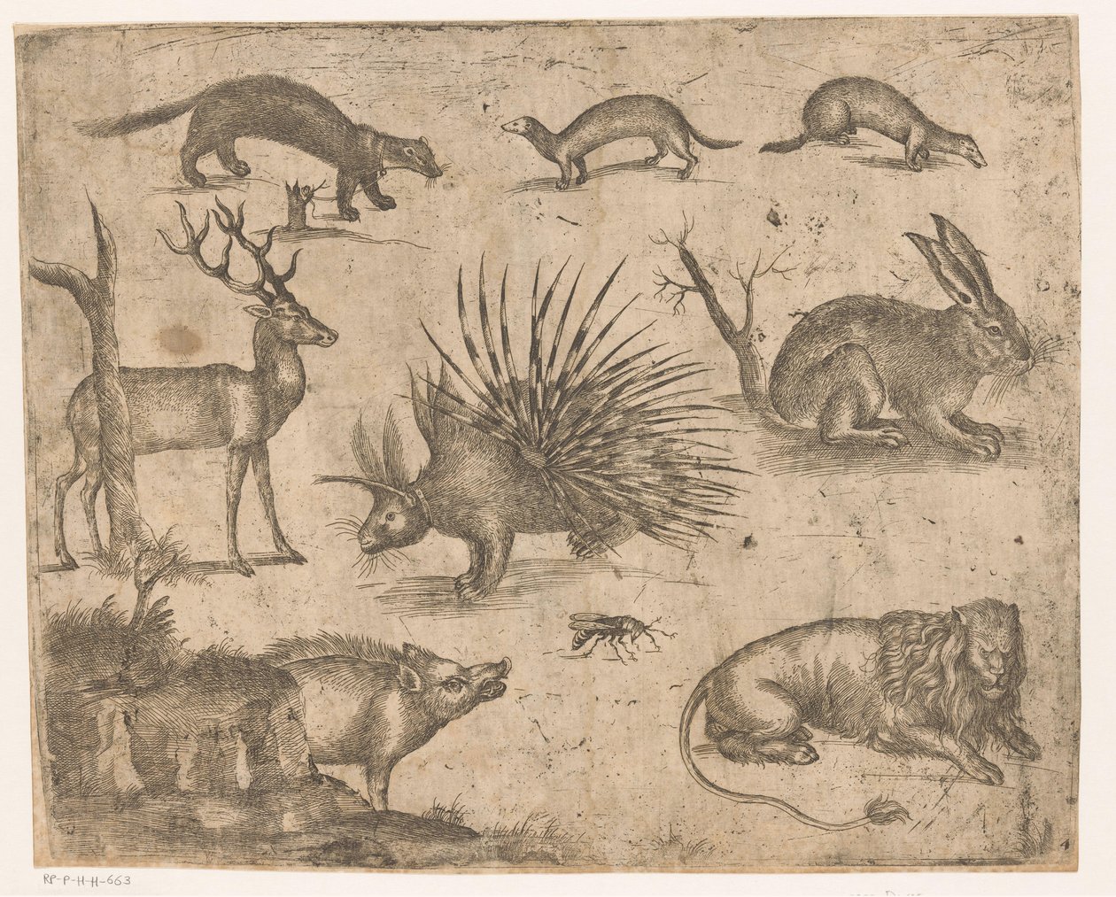 Folha de estudo com diferentes animais de Antonio Tempesta (attributed to)
