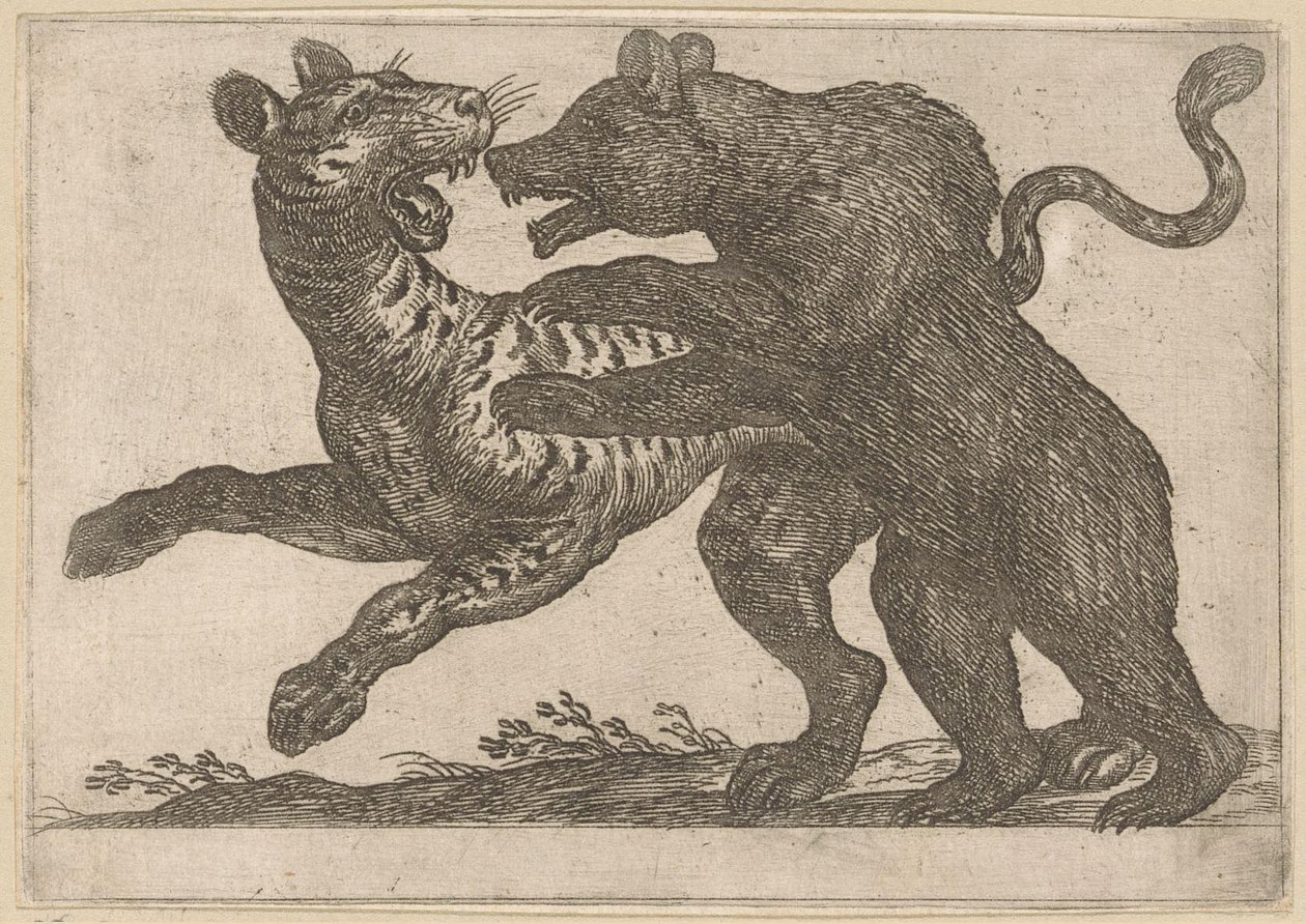 Um urso lutando contra um tigre Animais de luta (título da série) de Antonio Tempesta