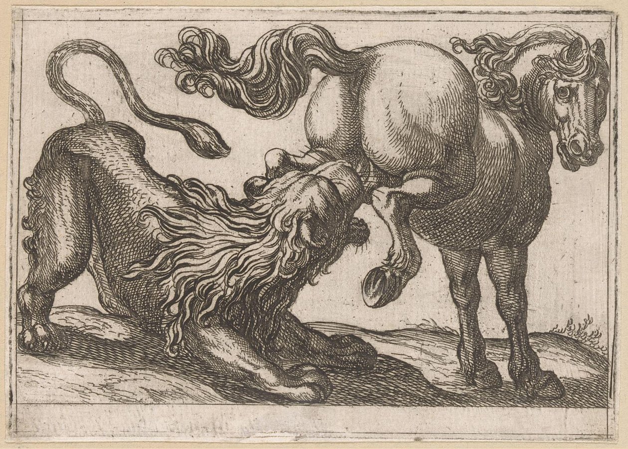 Um cavalo chutando um leão Animais de luta (título da série) de Antonio Tempesta