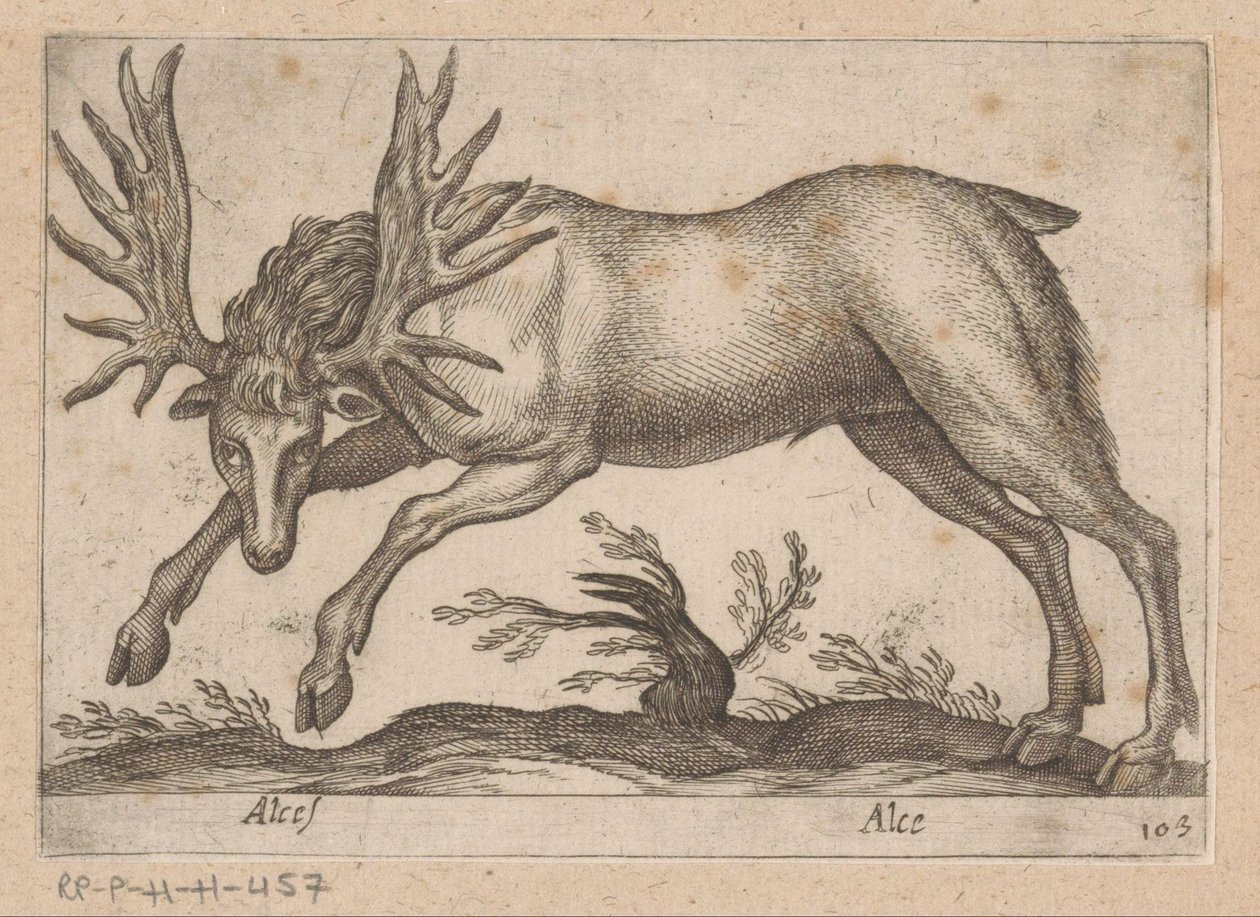 Elande Alce/ Alce (título no objeto) Dieren en fablewezens (título da série) Nova coleção dos animais mais curiosos do mundo (título da série) de Antonio Tempesta