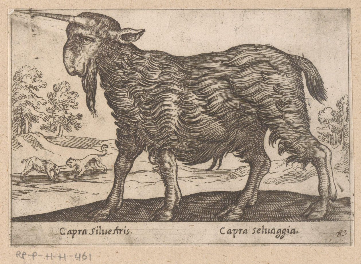 Geit met één hoorn
Capra Silvestris/ Capra Selvaggia (título sobre o objecto)
Dieren en fabelwezens (título da série)
Nova raccolta de li animali più curiosi del mondo (título da série) de Antonio Tempesta