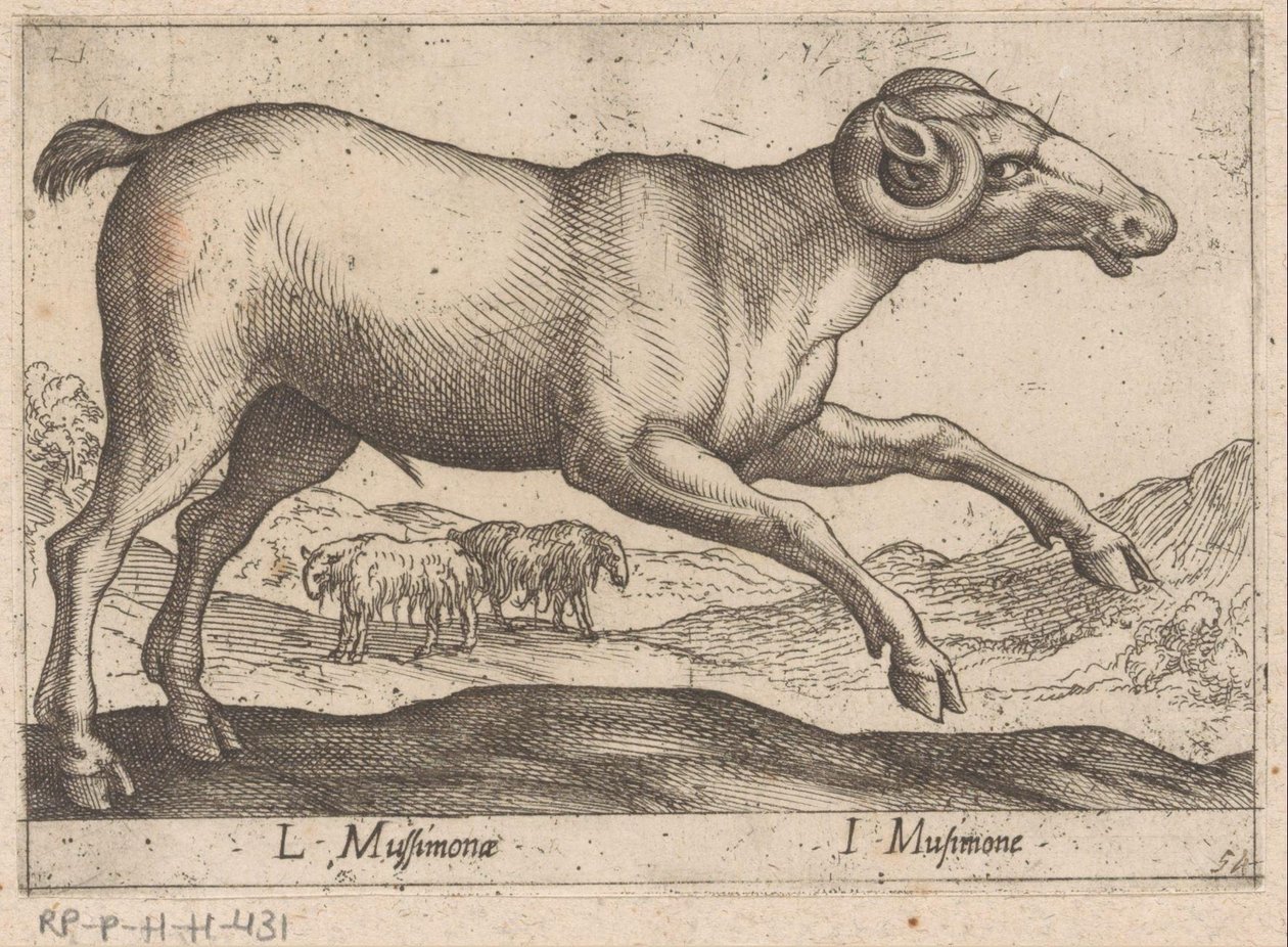 caprino L Mussimonae/ I Musimone (título no objeto) Dieren en fablewezens (título da série) Nova coleção dos animais mais curiosos do mundo (título da série) de Antonio Tempesta