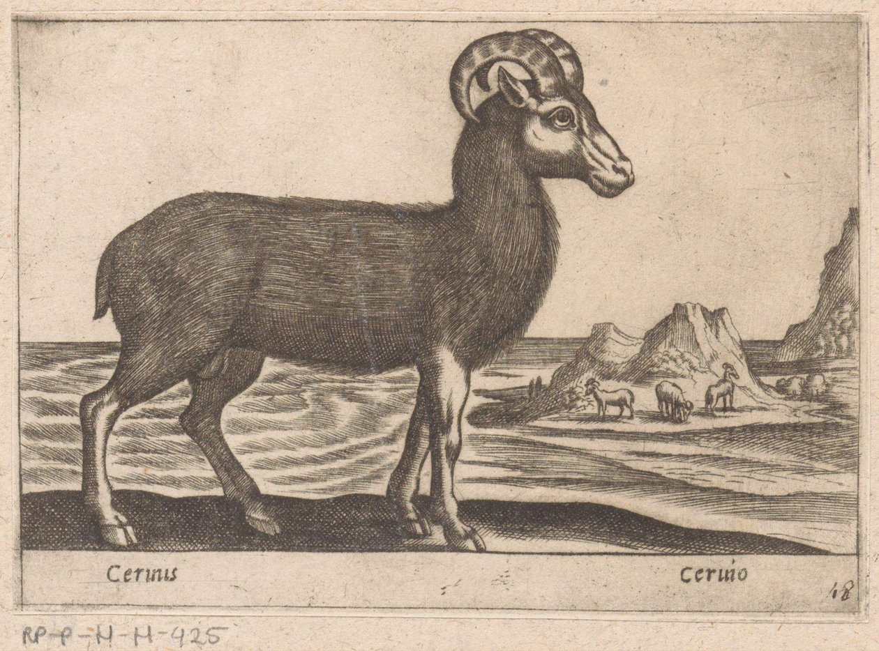 Gemas Cerinis / Ceruio (título no objeto) Dieren en fabelwezens (título da série) Nova coleção dos animais mais curiosos do mundo (título da série) de Antonio Tempesta