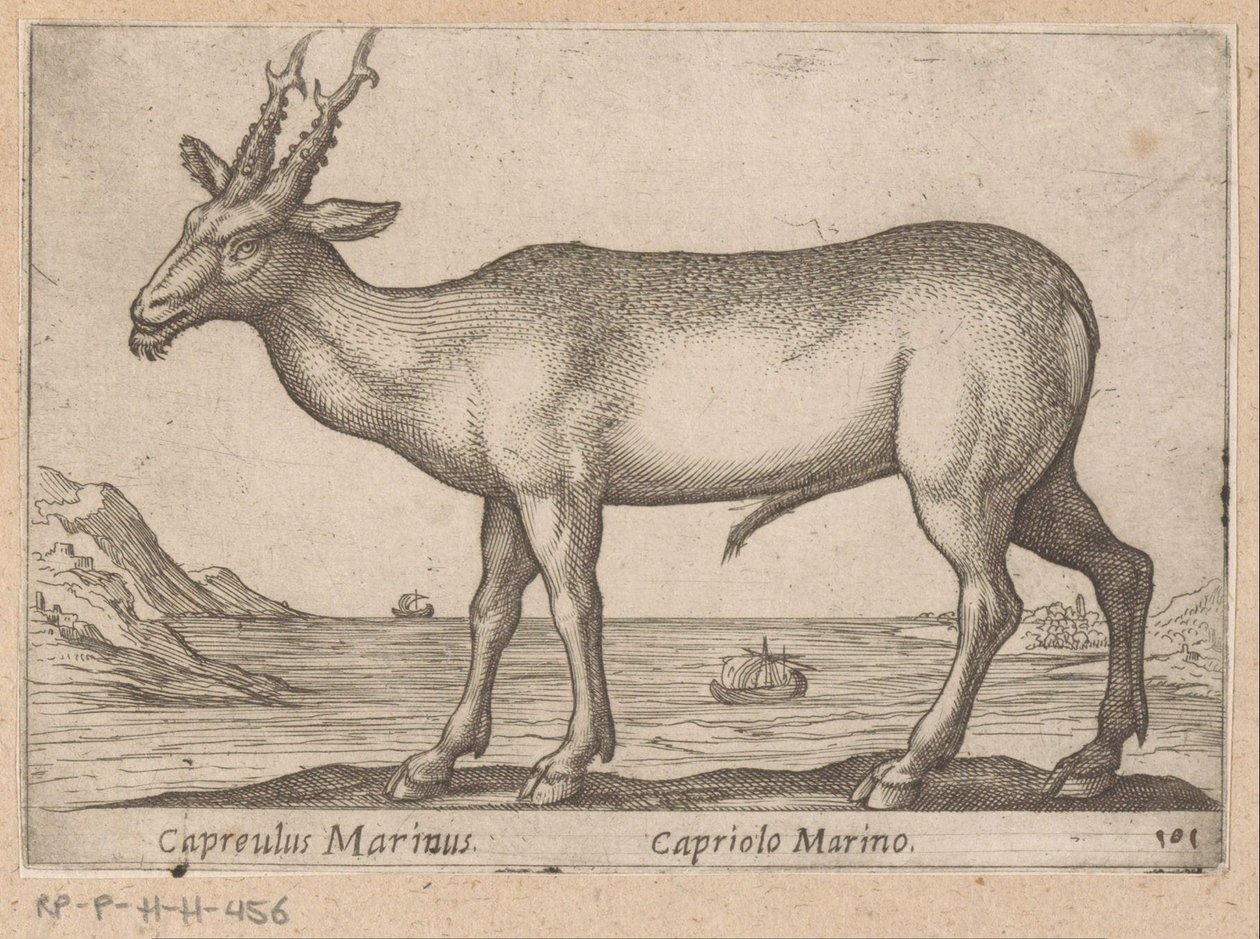 Hert Capreulus Marinus/ Capriolo Marino (título no objeto) Dieren en fablewezens (título da série) Nova coleção dos animais mais curiosos do mundo (título da série) de Antonio Tempesta