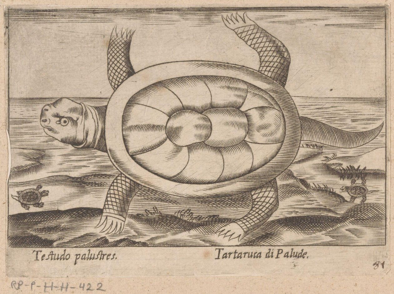 portugese de Antonio Tempesta