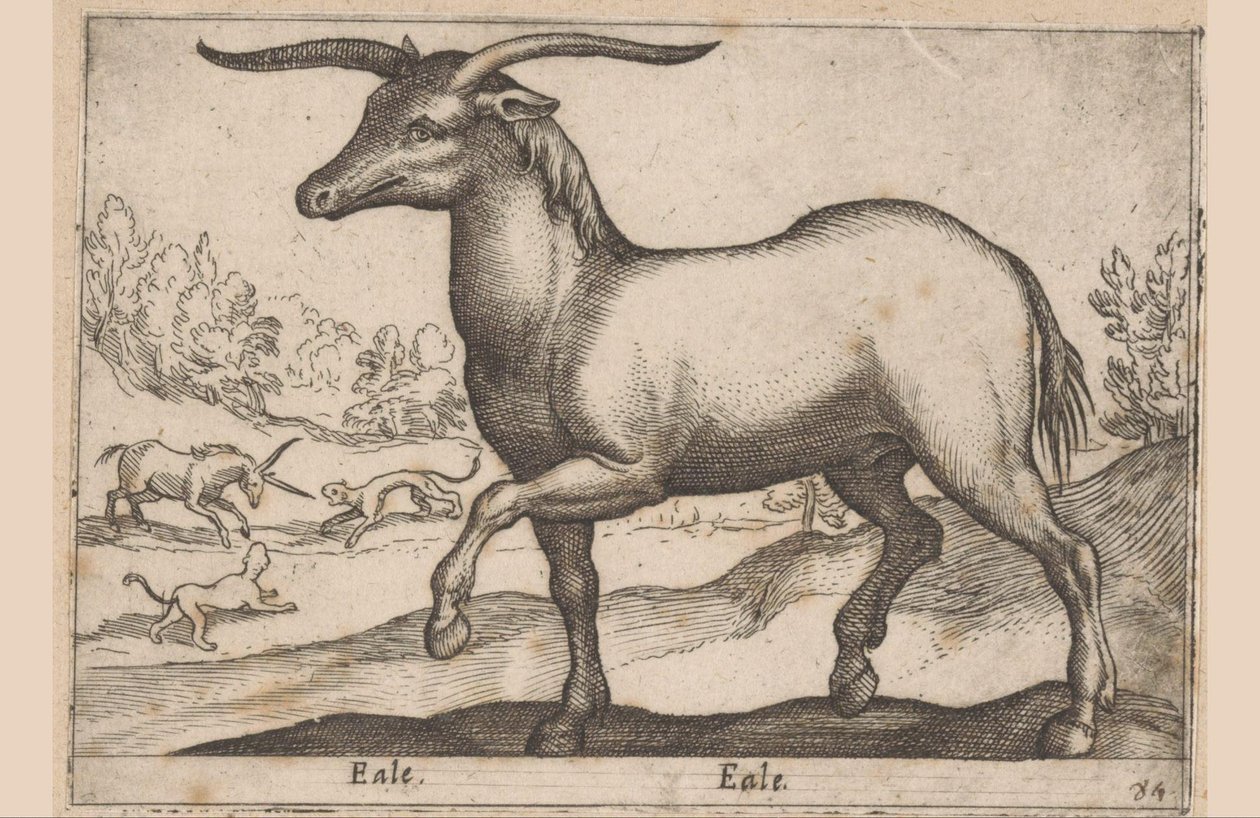 Cavalo com chifres Eale/Eale (título no objeto) Animais e criaturas míticas (título da série) Nova raccolta de li animali piu curiosi del mondo (título da série) de Antonio Tempesta