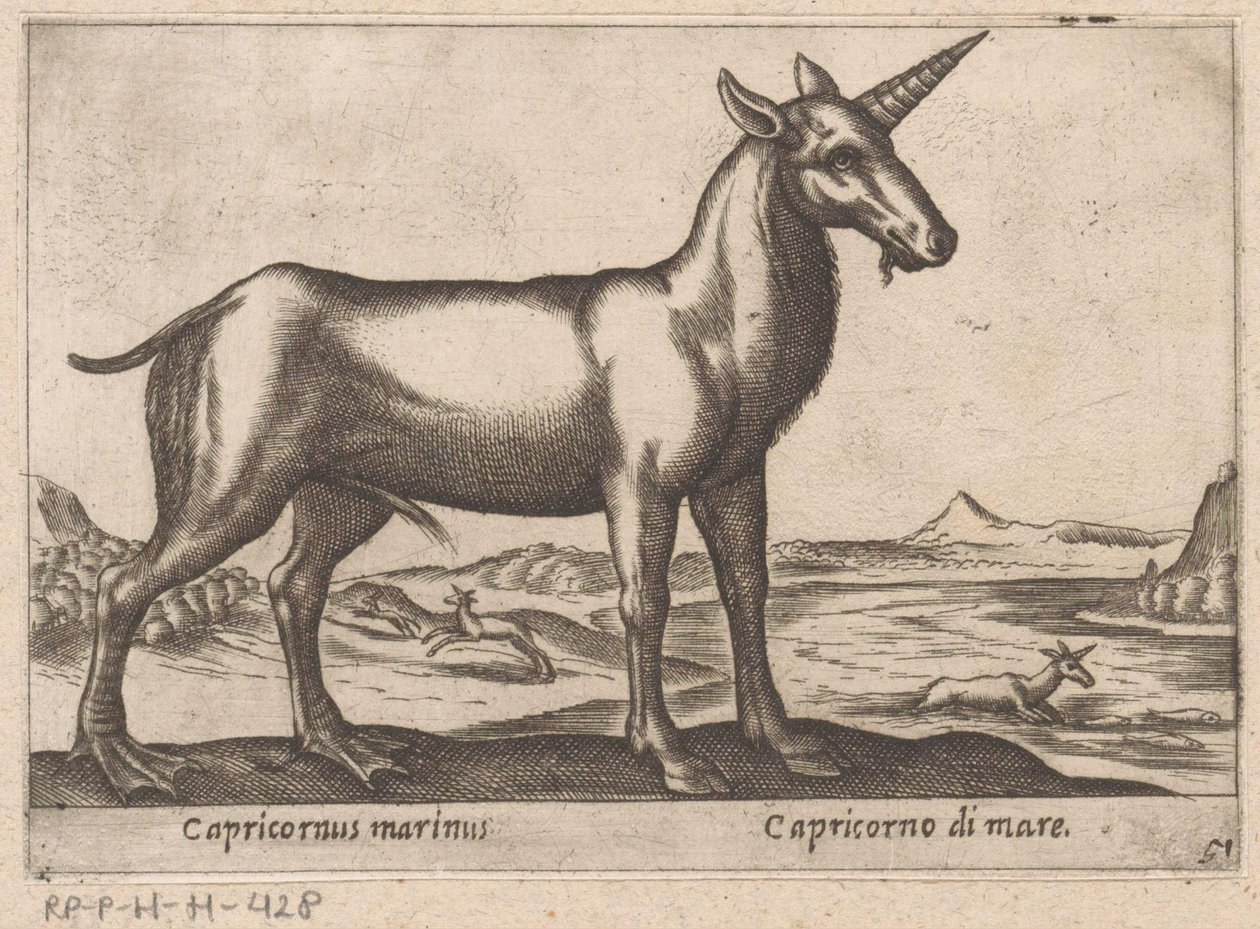 Steenbok als zeedier
Capricornus marinus/ Capricornus of the sea (título sobre o objecto)
Dieren en fabelwezens (título da série)
Nova raccolta de li animali più curiosi del mondo (título da série) de Antonio Tempesta