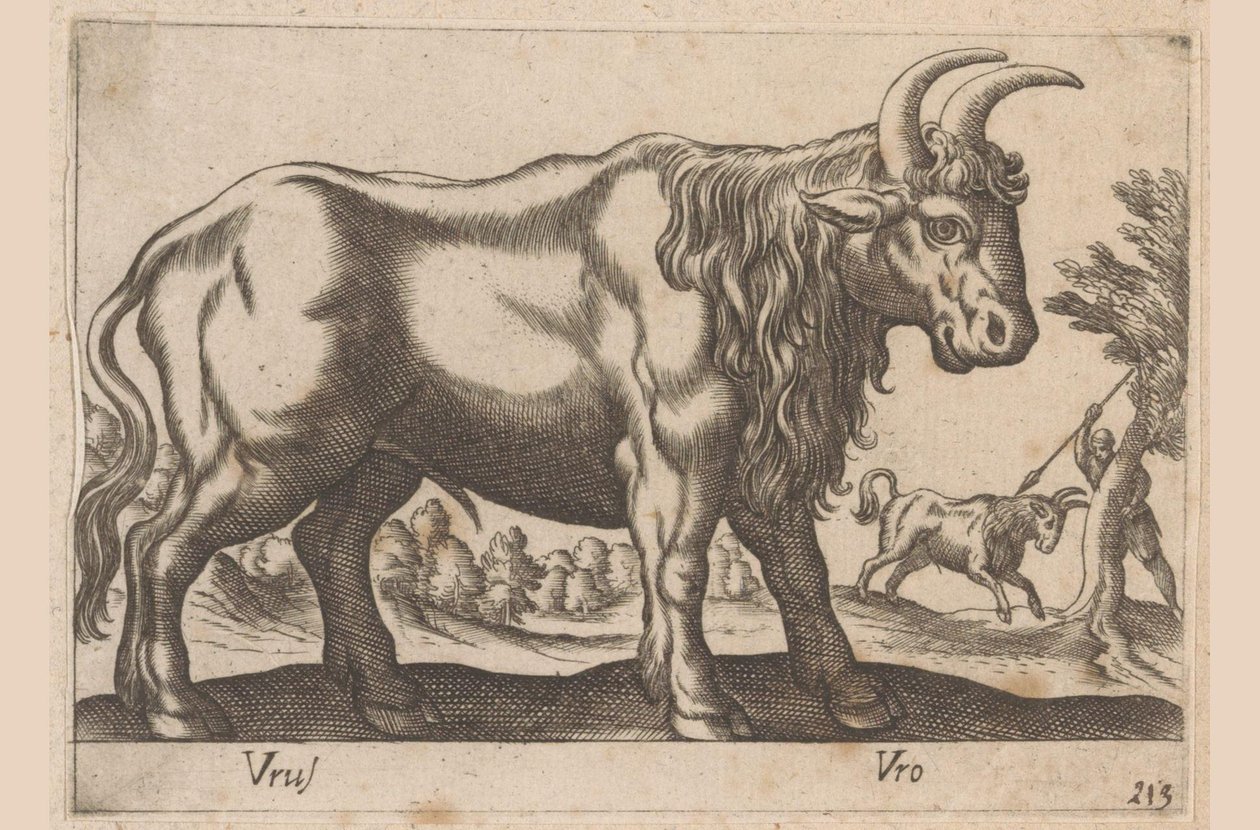Stier
Vrus/ Vro (título sobre o objecto)
Dieren en fabelwezens (título da série)
Nova raccolta de li animali più curiosi del mondo (título da série) de Antonio Tempesta